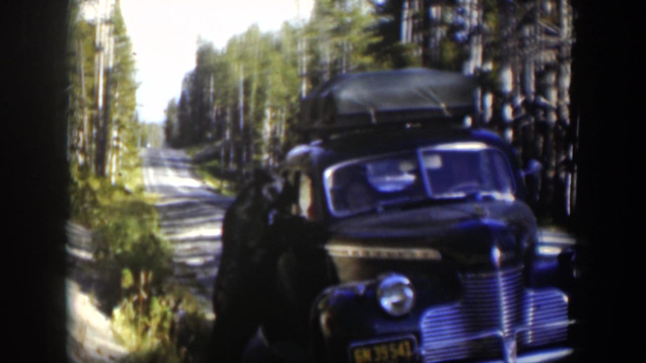1951 Wyoming road-trip footage shows a dark sedan with roof luggage beside a bright forest road, with a person at the vehicle.