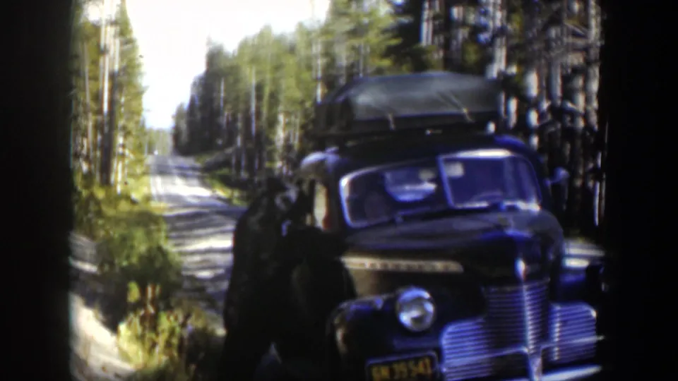 1951 Wyoming road-trip footage shows a dark sedan with roof luggage beside a bright forest road, with a person at the vehicle.