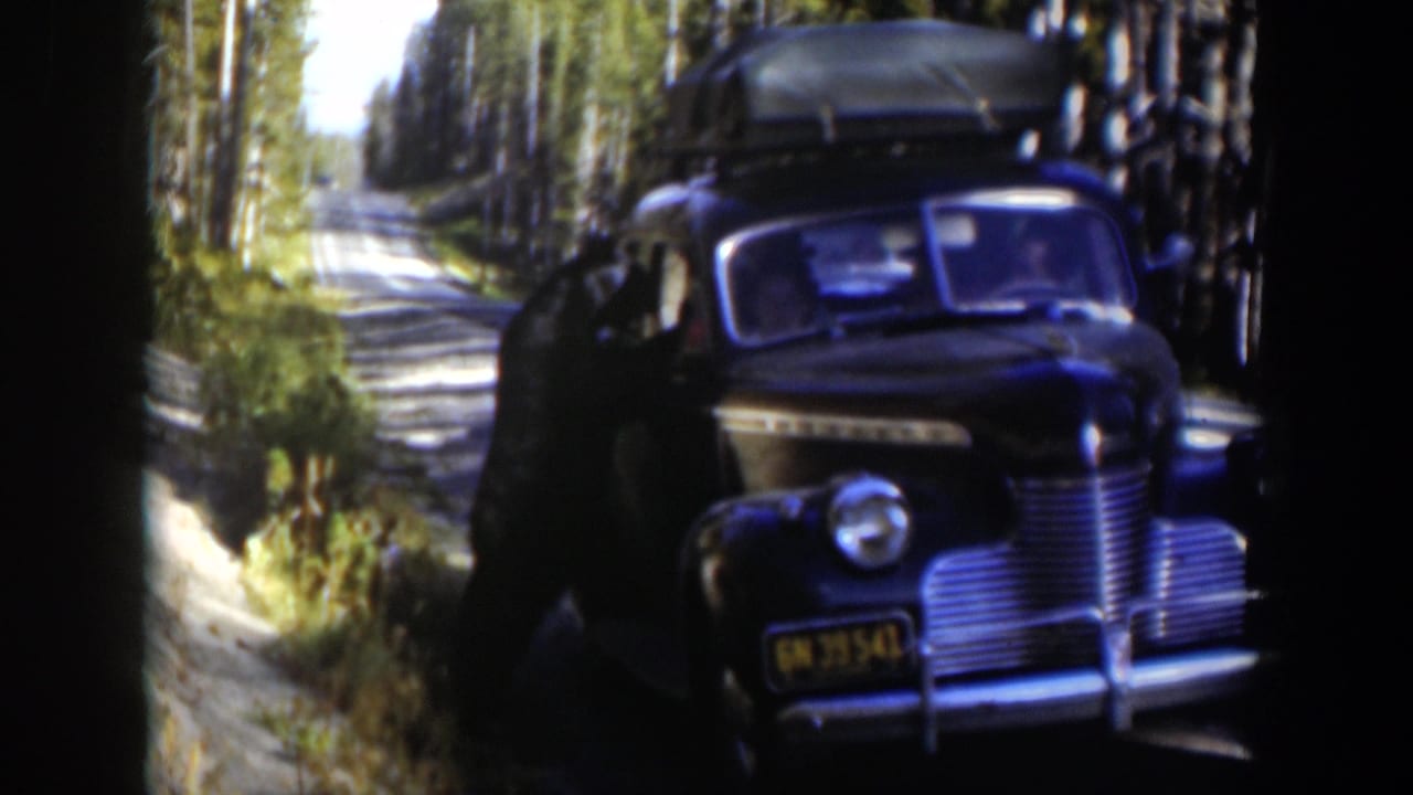 1951 Wyoming 8mm frame of a rounded dark car with roof luggage stopped on a sunlit forest road.