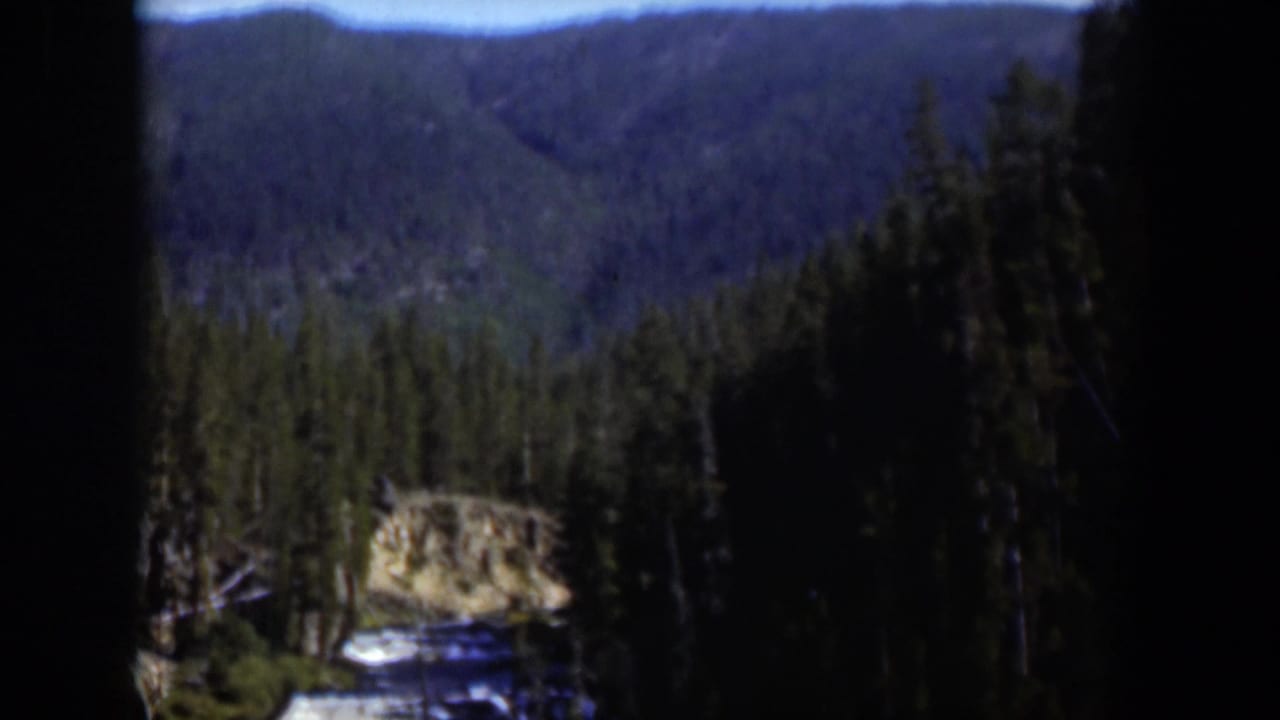 1951 Wyoming home-movie still with dense evergreens, distant ridges, and a pale rocky outcrop near the lower frame.