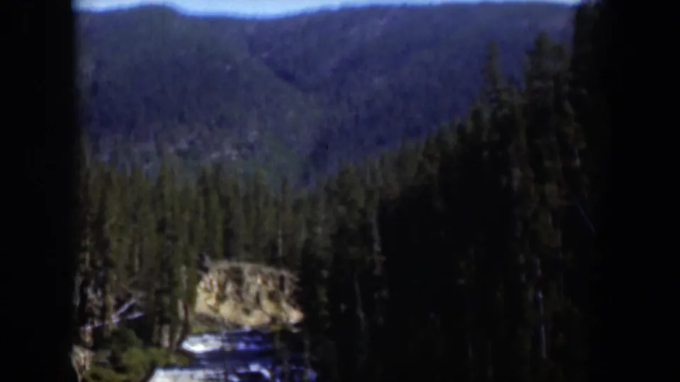 1951 Wyoming home-movie still with dense evergreens, distant ridges, and a pale rocky outcrop near the lower frame.