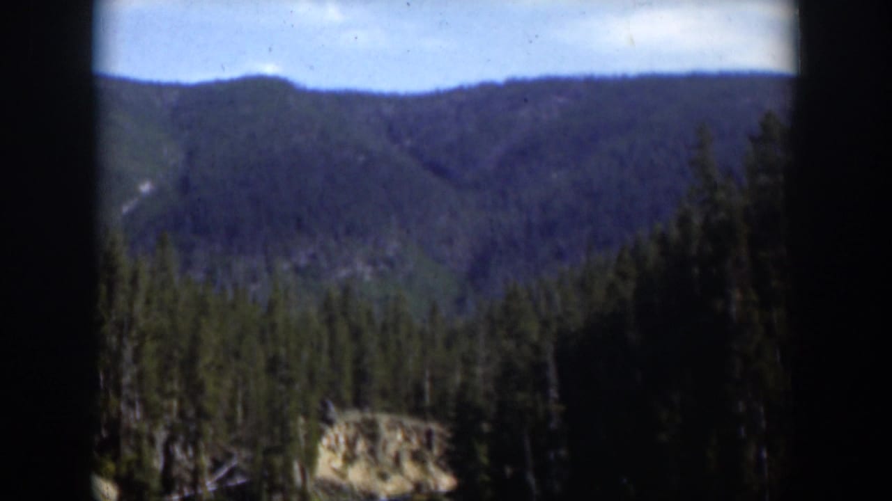 Late-frame 1951 Wyoming view of evergreen forest, blue mountain slopes, and dark vehicle-window edges on grainy 8mm film.
