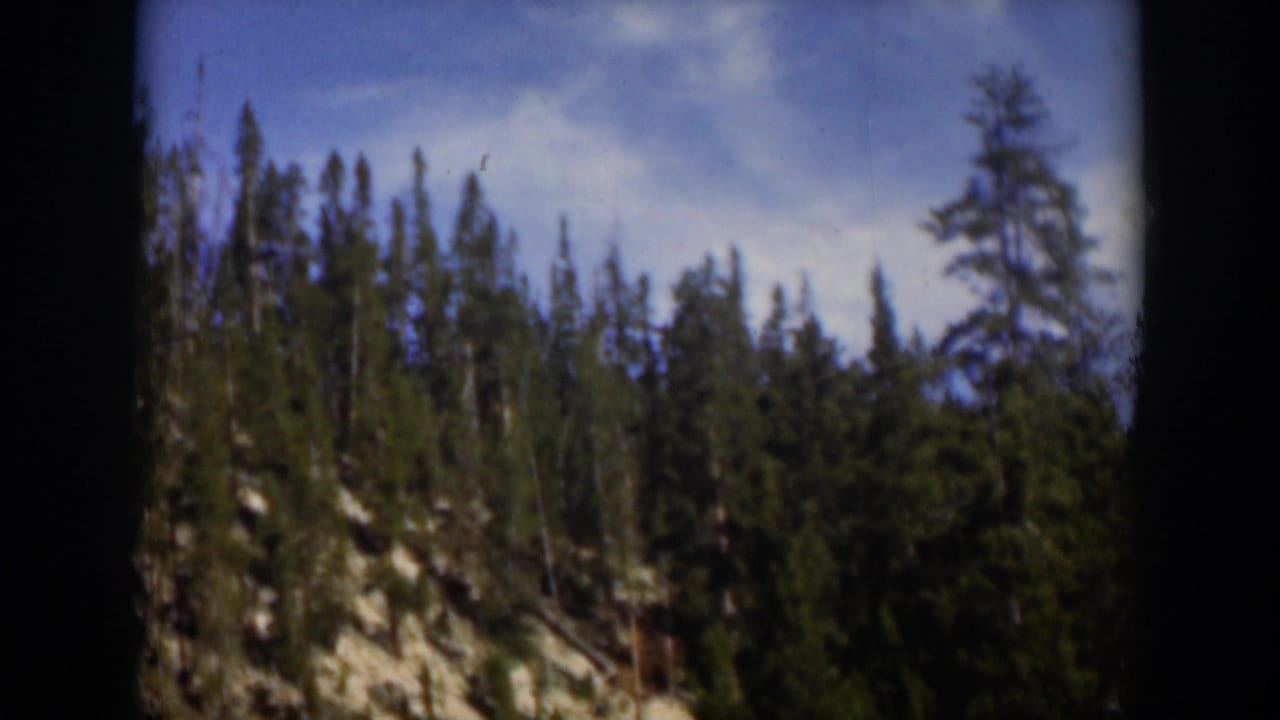 1951 Wyoming 8mm view of tall evergreens rising from a rocky mountain slope under blue sky and scattered clouds.