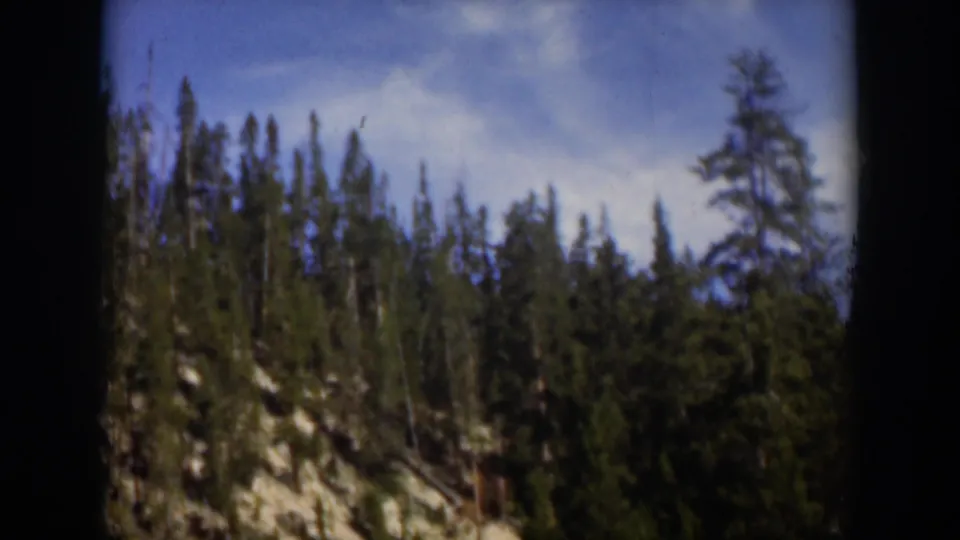 1951 Wyoming 8mm view of tall evergreens rising from a rocky mountain slope under blue sky and scattered clouds.
