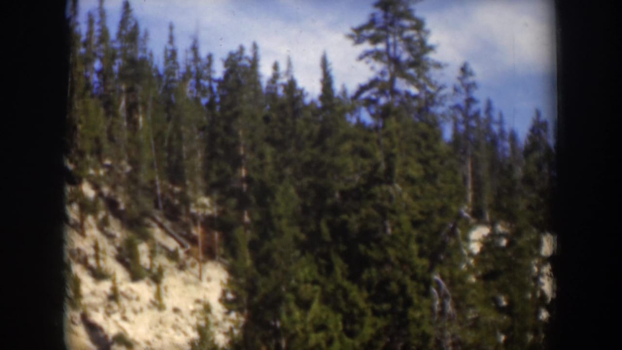 1951 Wyoming 8mm view of conifers and exposed rock on a mountain slope, framed by dark small-gauge film edges.