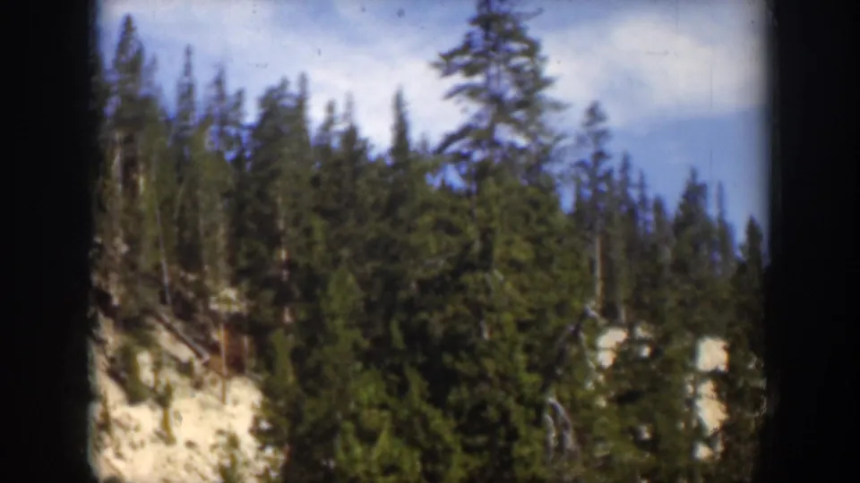 1951 Wyoming 8mm frame showing dense evergreen trees on a light rocky slope under blue sky with visible film-gate borders.