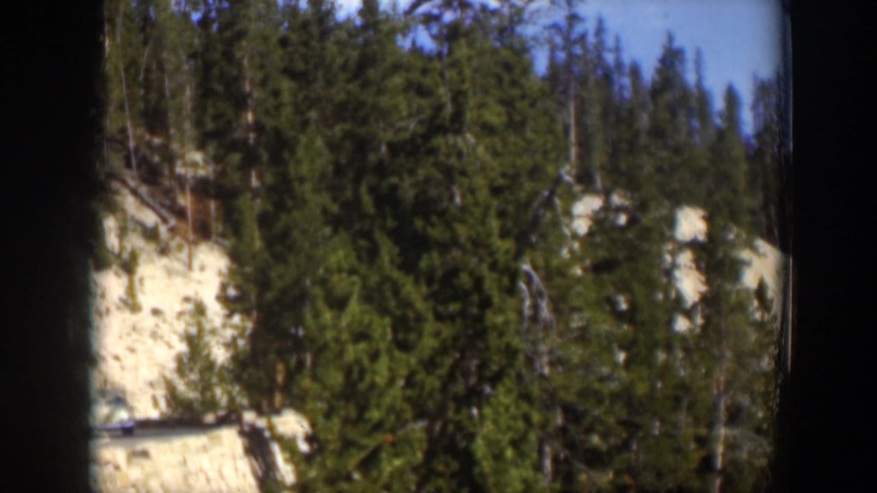 1951 Wyoming 8mm frame of evergreen trees against a pale rocky slope, with a narrow light horizontal edge near the lower frame.