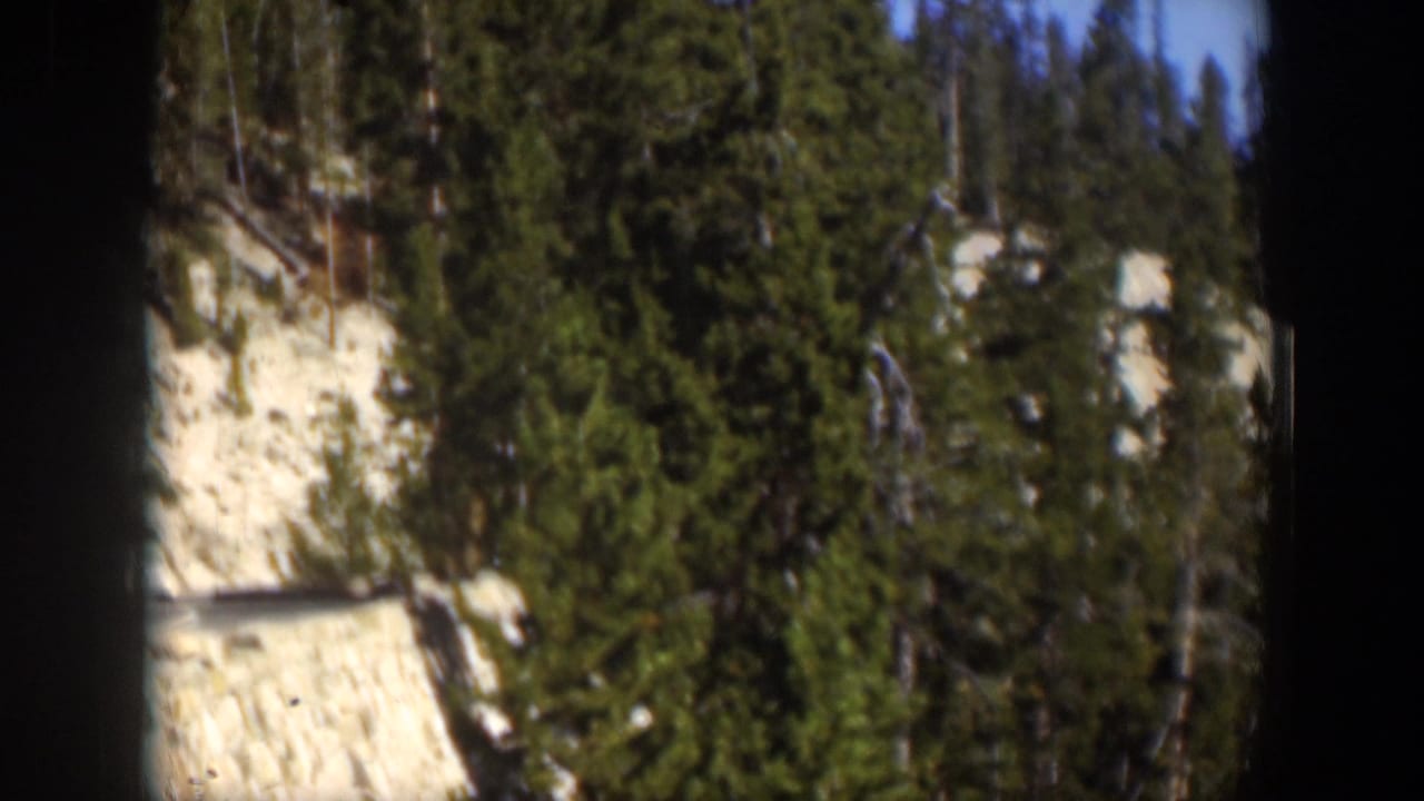 1951 Wyoming 8mm landscape frame with tall evergreen trees, pale rocky hillside, soft focus, and dark projector-gate borders.