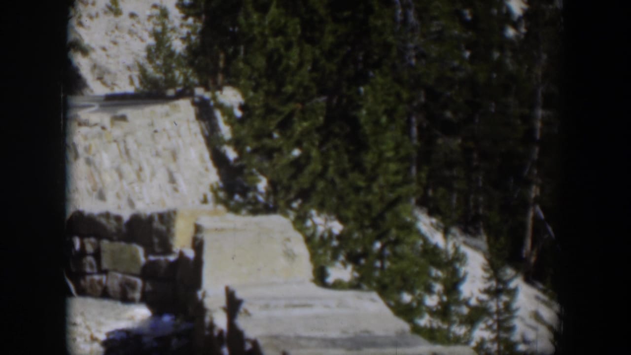 1951 Wyoming 8mm frame showing snow patches, evergreen forest, and a pale stone or path edge on a sunny mountain slope.