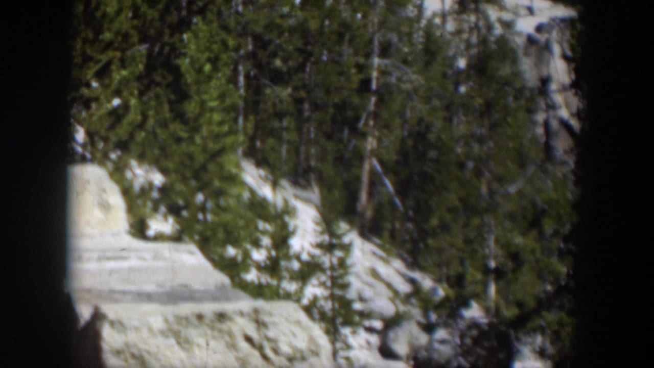 1951 Wyoming home-movie frame showing evergreen trees, snow-covered ground, and a pale stone or road edge in bright mountain light.