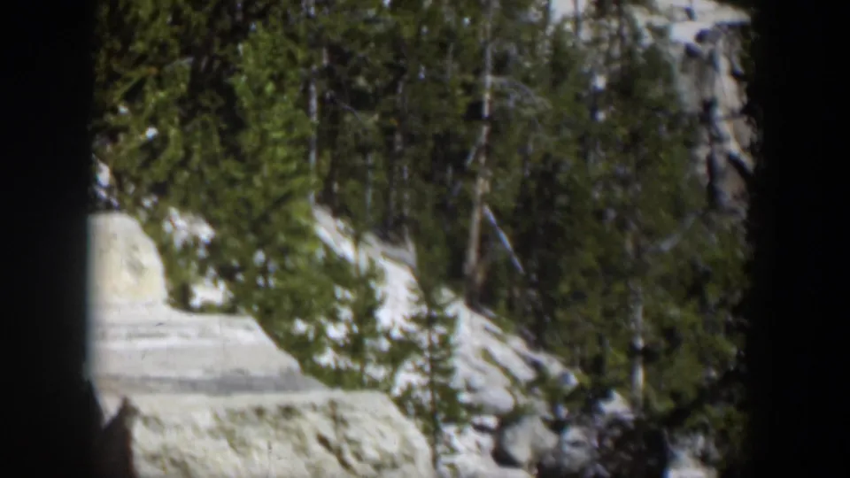 1951 Wyoming home-movie frame showing evergreen trees, snow-covered ground, and a pale stone or road edge in bright mountain light.