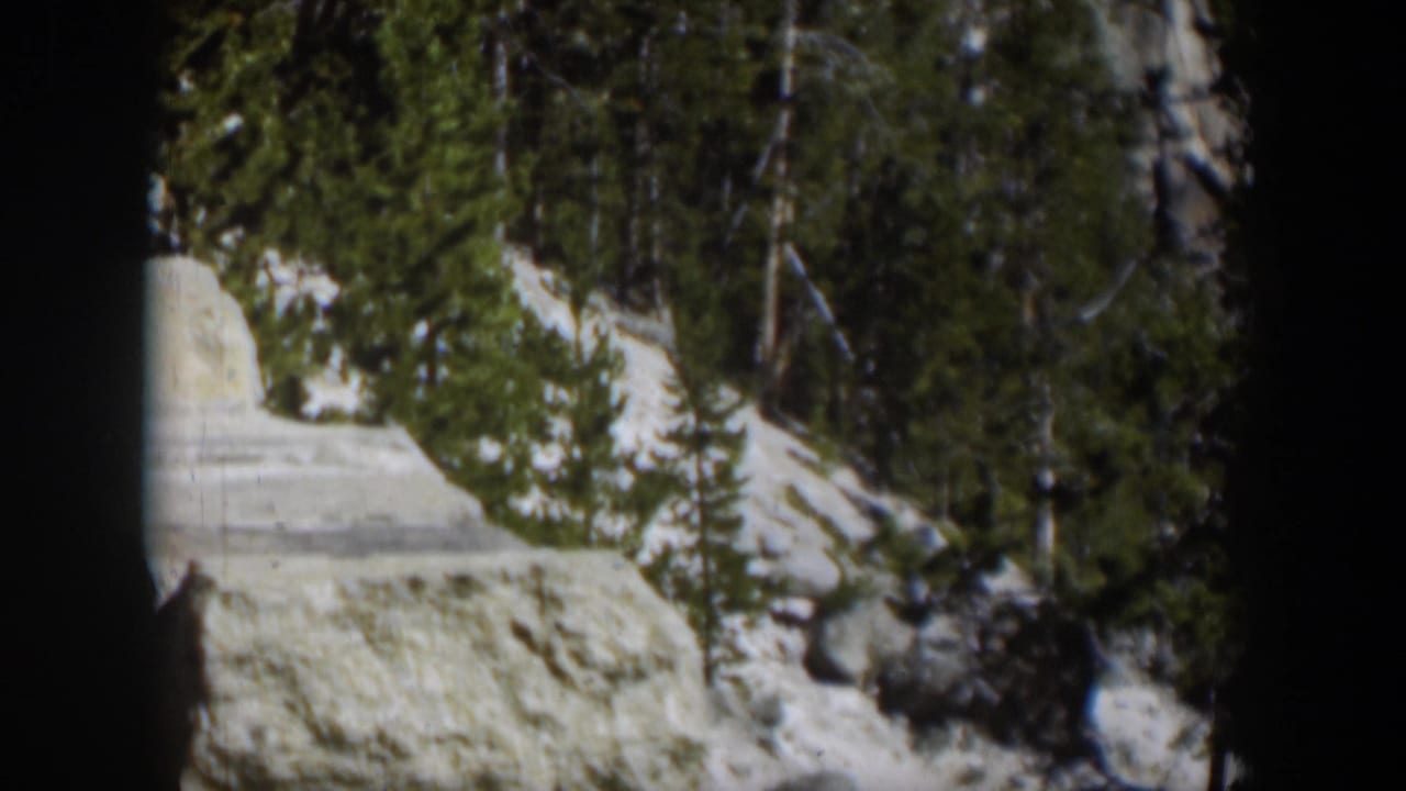 Evergreen trees and pale gray rocks on a sunny mountain slope with snow patches.