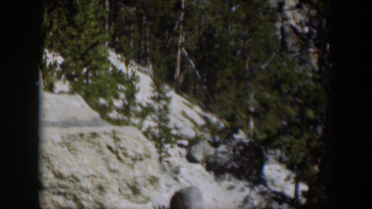1951 Wyoming home-movie frame of a rocky forested slope, with evergreens and snow patches under strong sunlight.