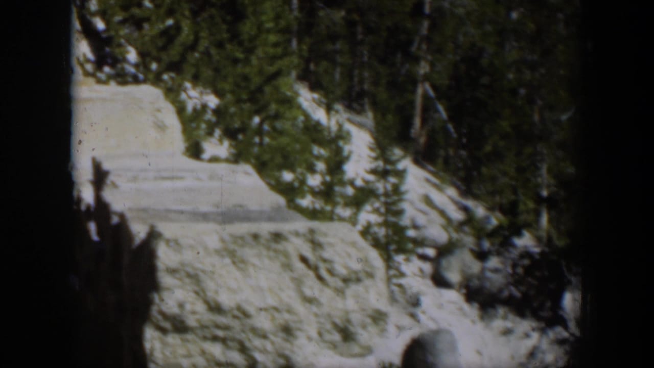1951 Wyoming 8mm still showing a pale rock ledge, dark evergreen trees, and remaining snow on a sunlit slope.