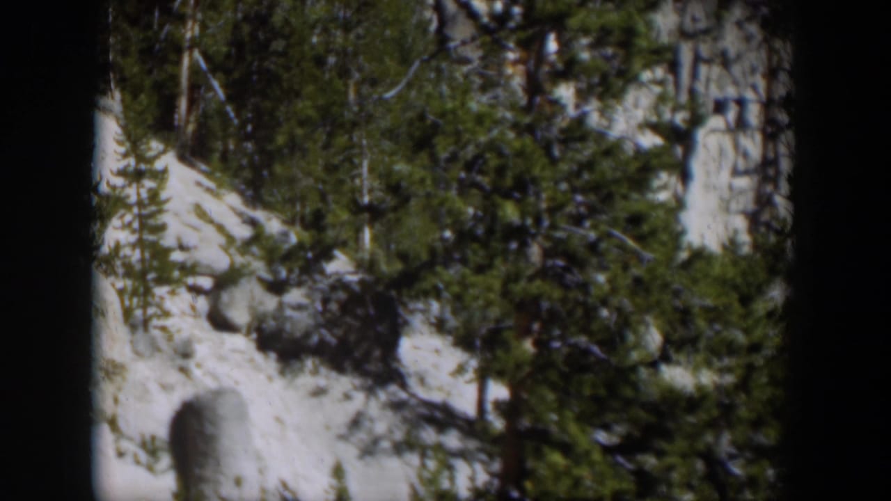 Snowy rocky mountainside with evergreen trees and dark film-frame borders.