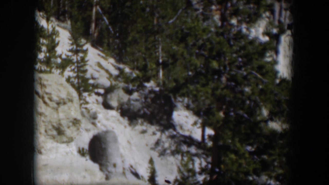 1951 Wyoming 8mm frame with evergreen trees, exposed pale rock, snow, and a rounded boulder on a steep mountainside.