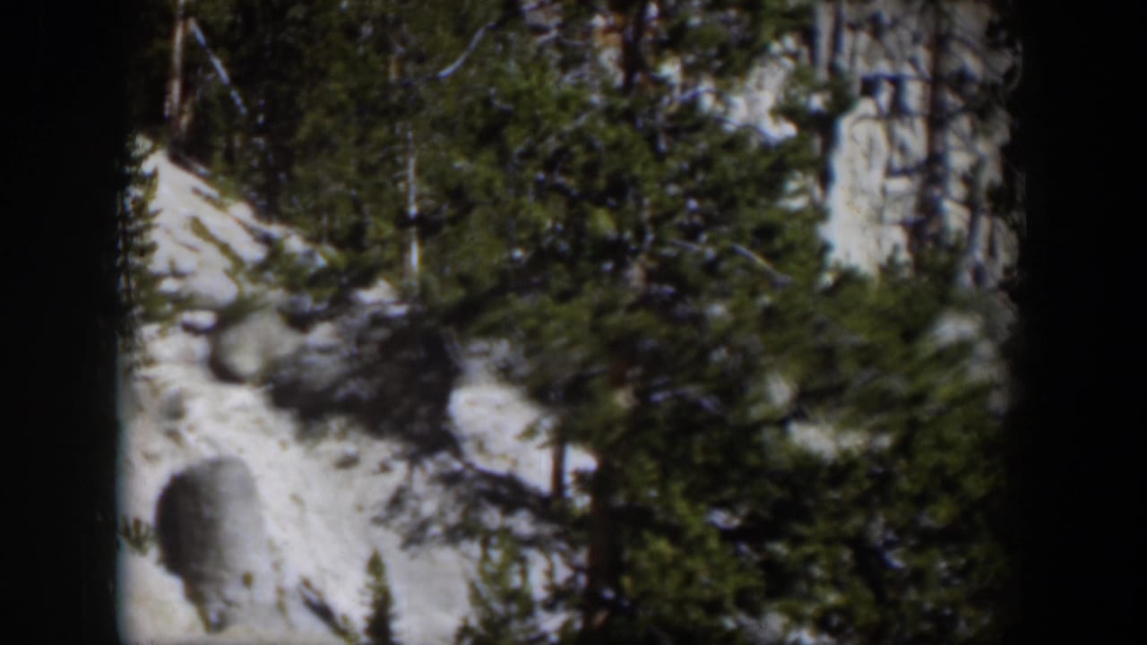 1951 Wyoming 8mm frame showing a steep snowy rock slope, boulders, and dark evergreen branches during a handheld pan.