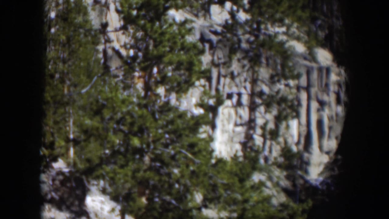 1951 Wyoming 8mm frame showing pine trees, a rocky cliff face, and a distant waterfall viewed from across the landscape.