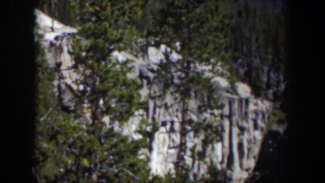 1951 Wyoming 8mm frame with dark tree trunks in the foreground and a pale rocky cliff partly covered by pines.