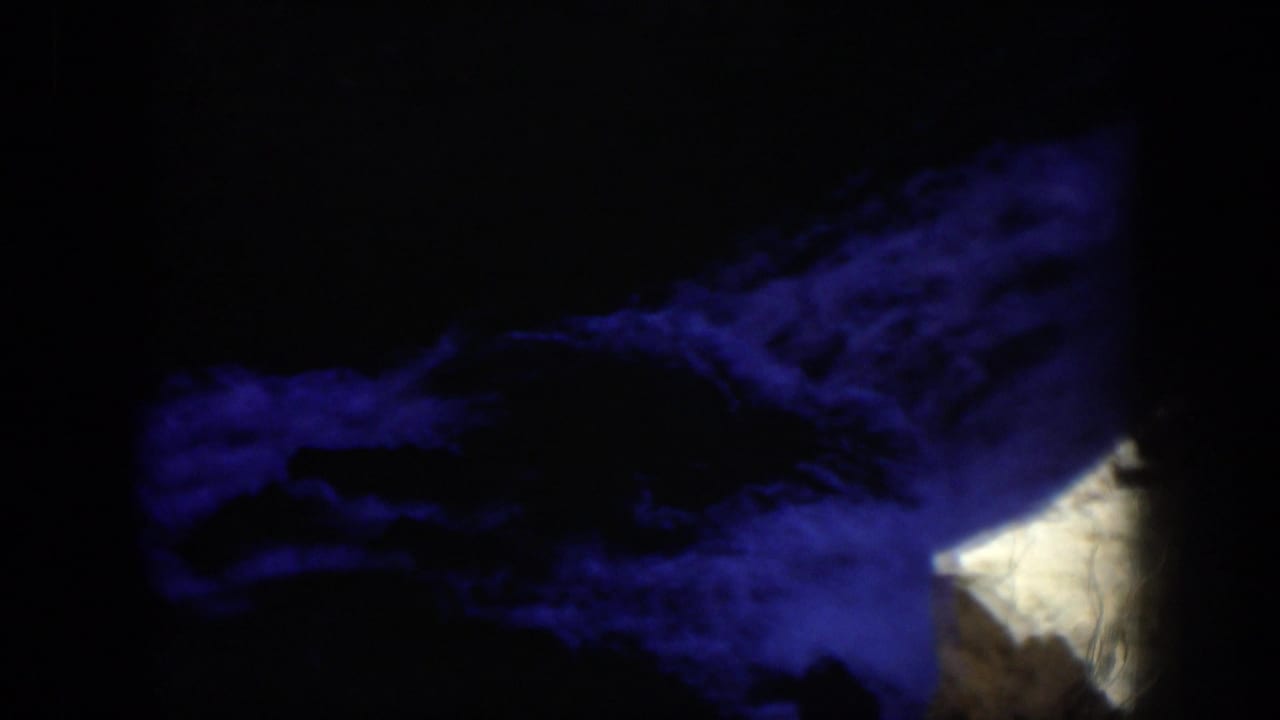 Dark frame with blue-toned water or rock texture partly visible in heavy shadow.