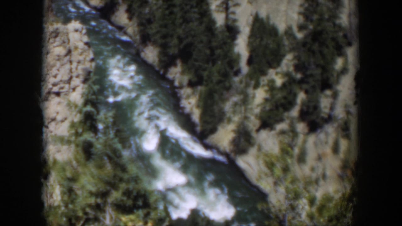 Green river with white rapids flowing through a rocky canyon lined with evergreen trees.
