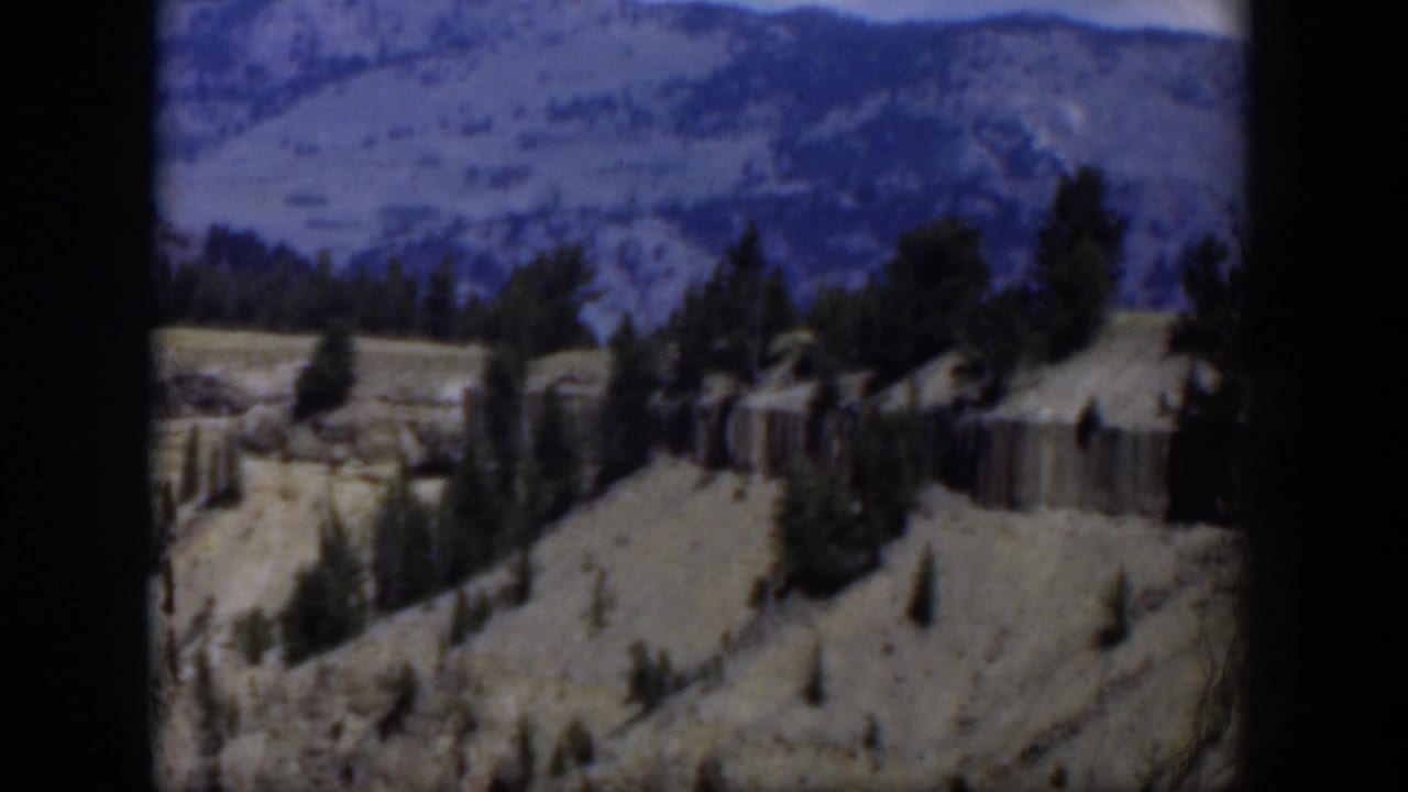 Rocky Wyoming slope with scattered pine trees and distant mountains.