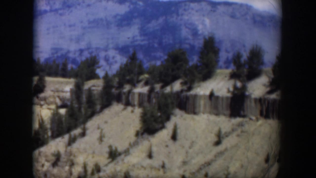 1951 8mm Wyoming frame showing scattered evergreens across a light rocky hillside beneath blue-gray mountains.