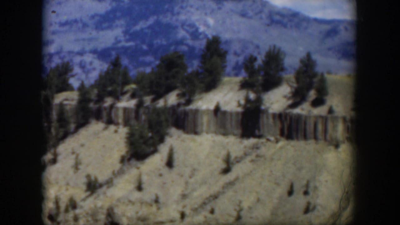 Aerial view of pale hills, scattered pine trees, and blue mountain ridges.