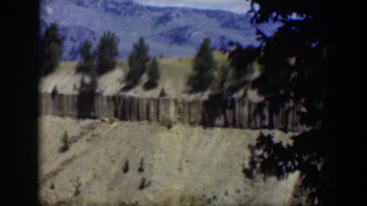 1951 Wyoming 8mm frame with a hillside fence, scattered trees, distant mountain ridge, and dark foreground branches at the edge.