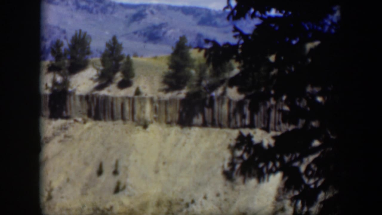 1951 Wyoming 8mm frame showing a sloped hillside, long wooden fence, tree clusters, and shadowed branches framing the view.