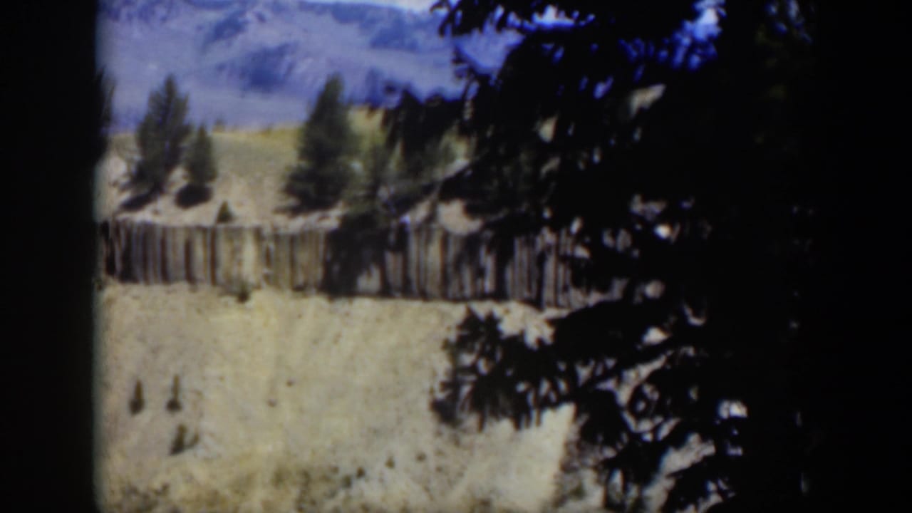 1951 Wyoming 8mm frame of a bright hillside and fence partly framed by dark tree branches, with mountains visible in the distance.