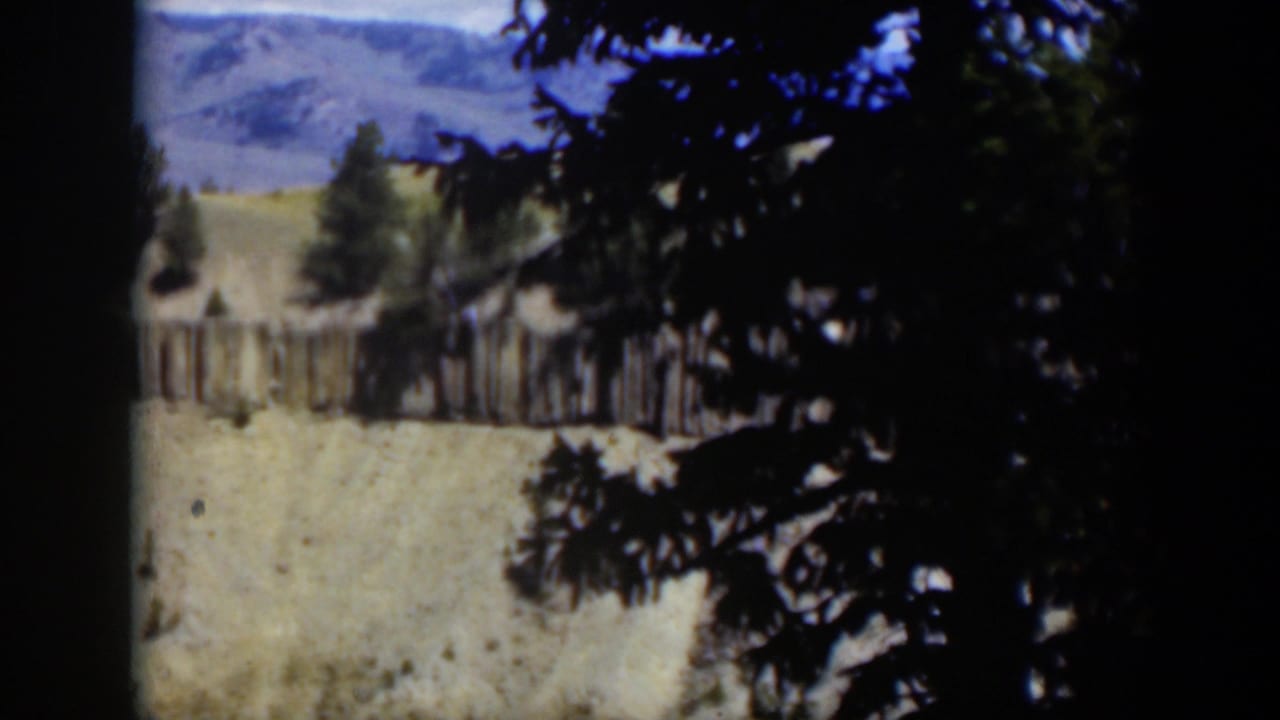 Rocky hillside and pine trees seen through dark foreground foliage.