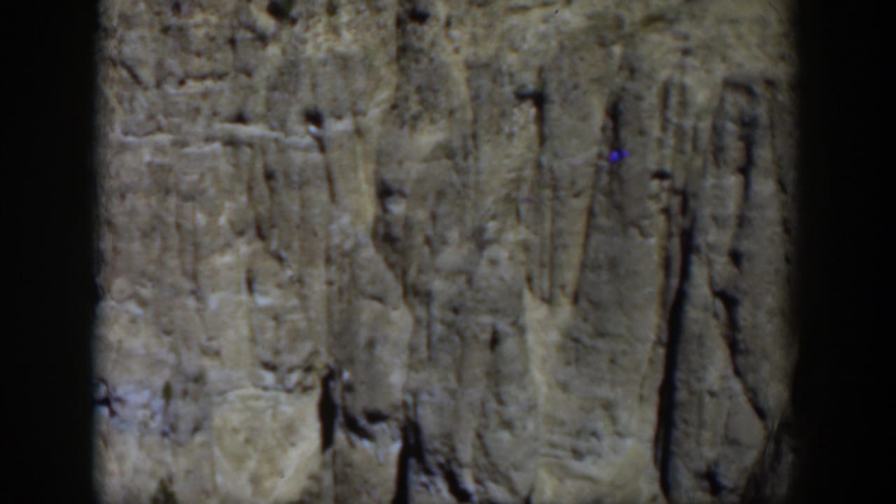 1951 Wyoming 8mm frame showing a close view of rugged bark-like trunk texture with dark gate edges and small evergreens below.