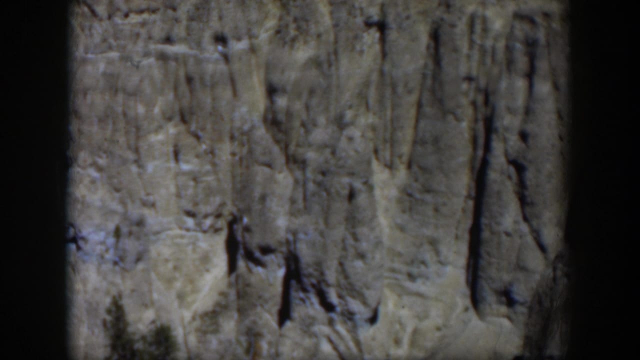 1951 Wyoming home-movie still of weathered bark or trunk surface, framed by dark scan borders with muted outdoor tones.