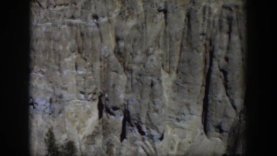 1951 Wyoming home-movie still of weathered bark or trunk surface, framed by dark scan borders with muted outdoor tones.