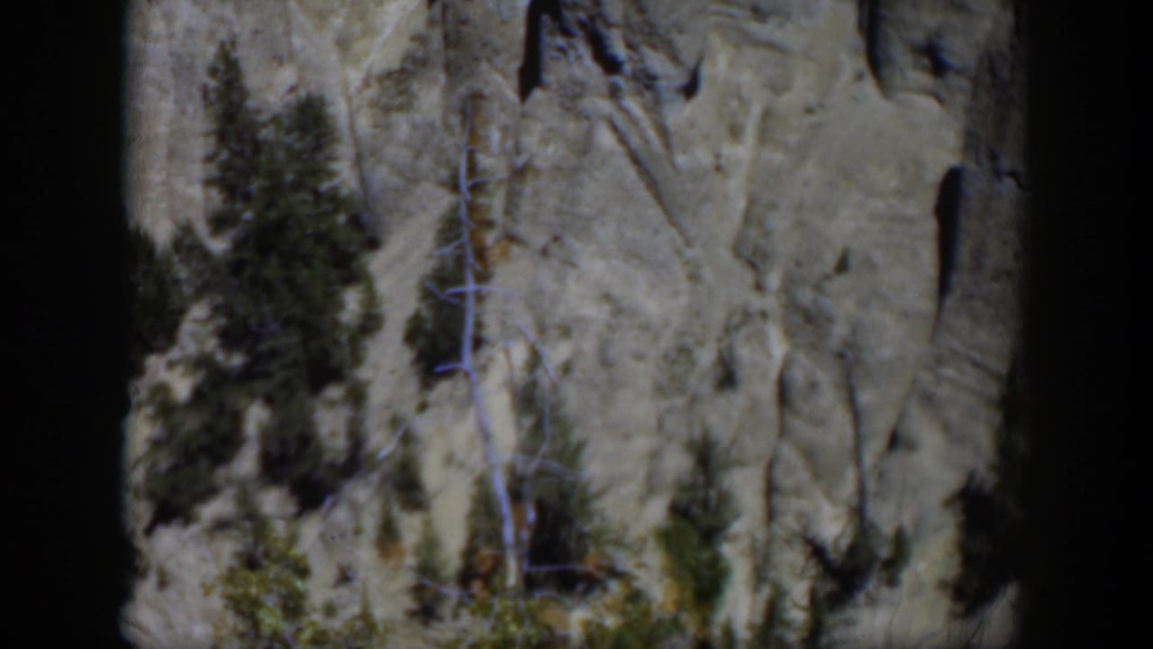1951 Wyoming 8mm view of evergreens and scrub growth set against a tall, weathered gray rock formation.