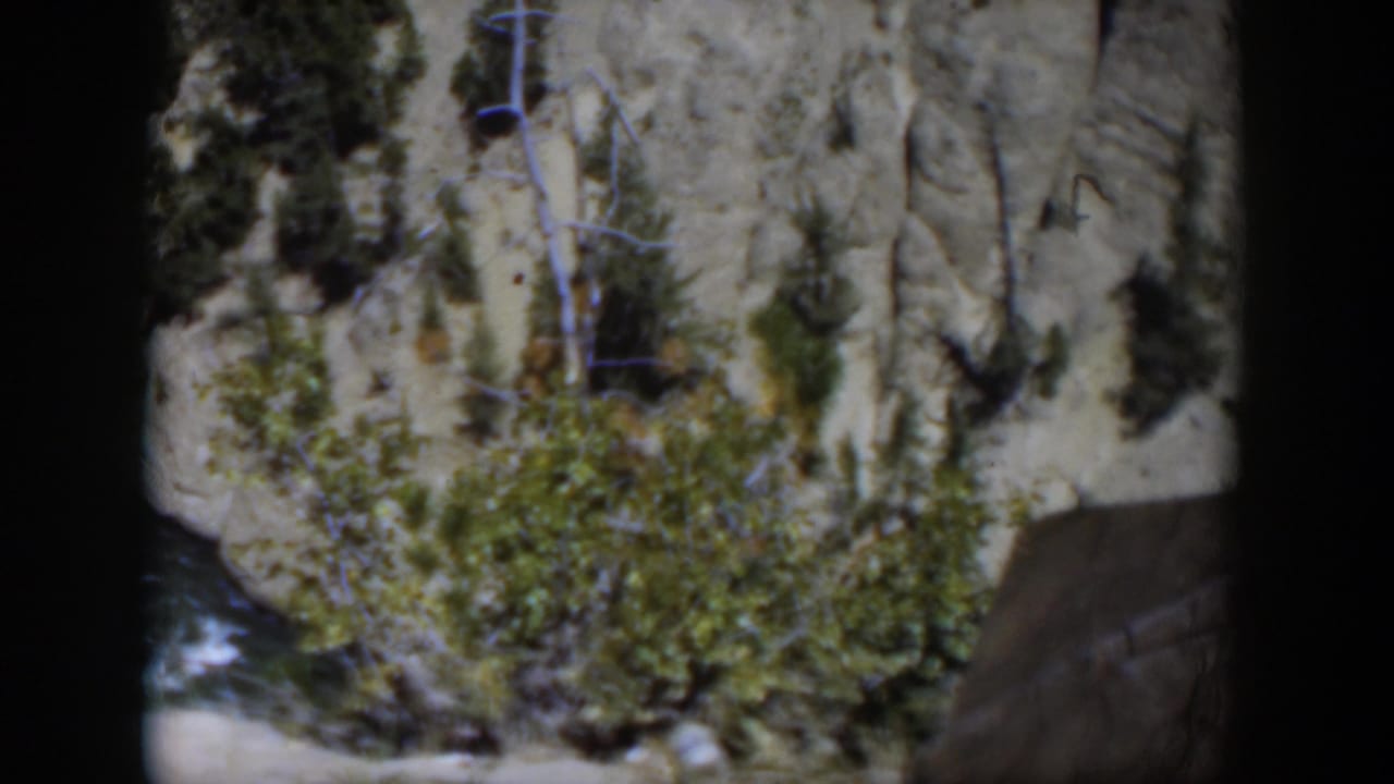 1951 Wyoming home-movie view of a rocky slope with trees and shrubs above a partially visible river.