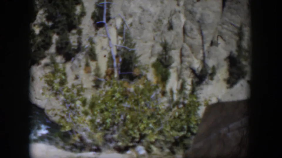 1951 Wyoming home-movie view of a rocky slope with trees and shrubs above a partially visible river.