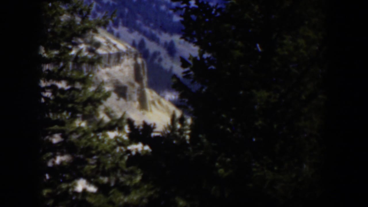 1951 Wyoming 8mm frame looking through shaded trees toward a pale sunlit canyon cliff and wooded mountain slope.