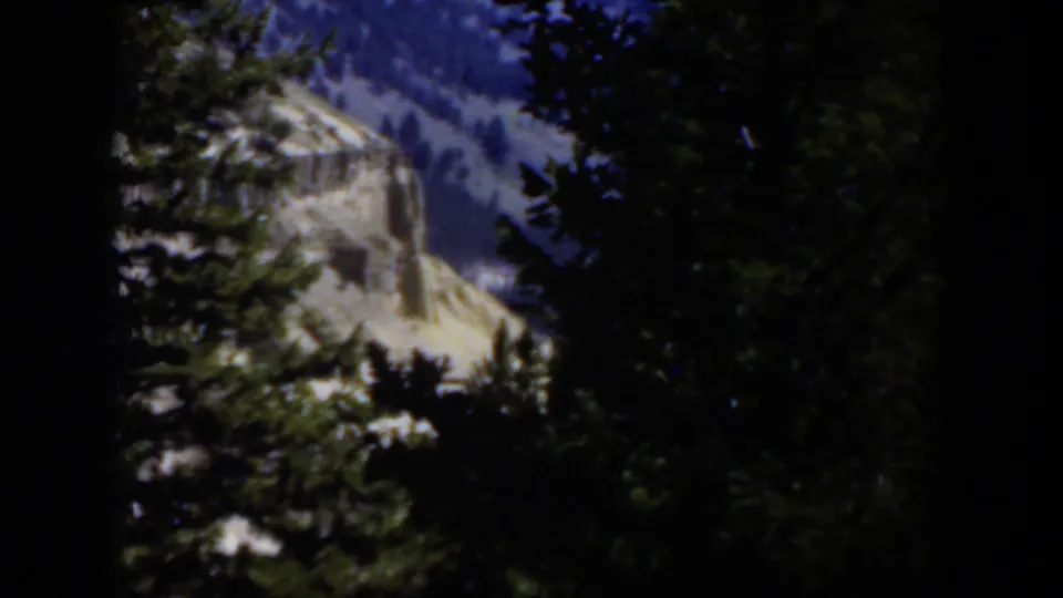 1951 Wyoming 8mm frame looking through shaded trees toward a pale sunlit canyon cliff and wooded mountain slope.