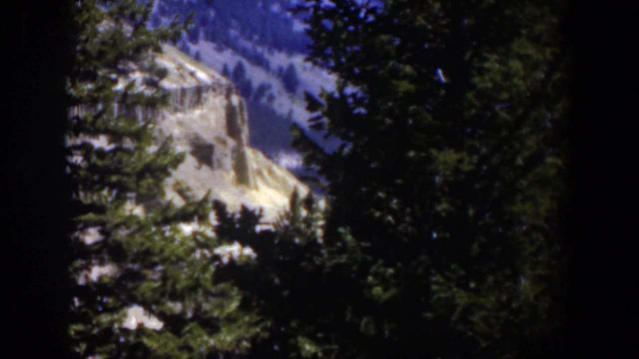 1951 Wyoming 8mm view of a pale rocky cliff and forested canyon slope framed by dark evergreen branches.