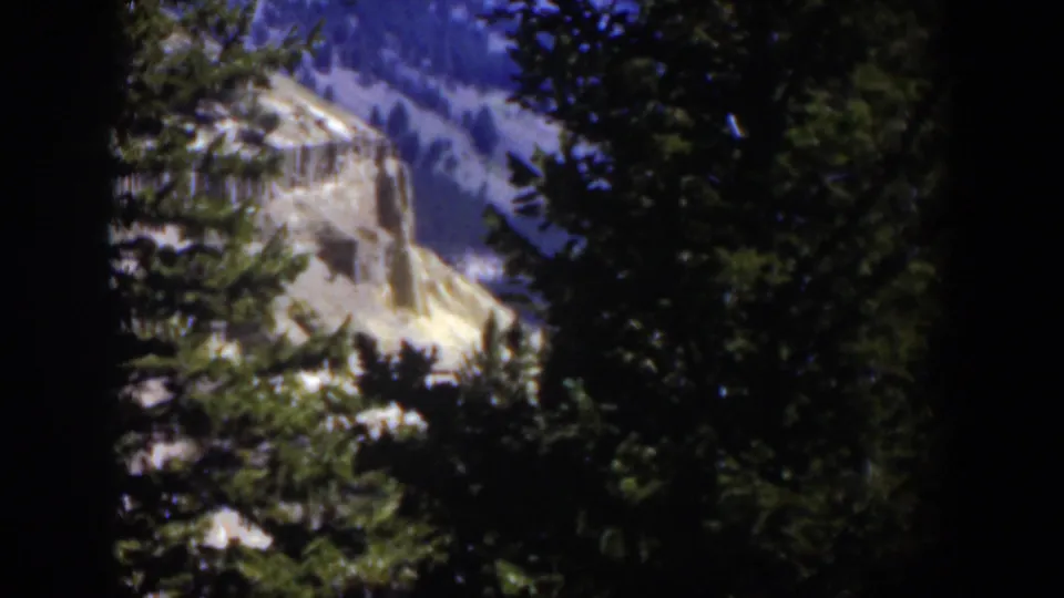1951 Wyoming 8mm view of a pale rocky cliff and forested canyon slope framed by dark evergreen branches.