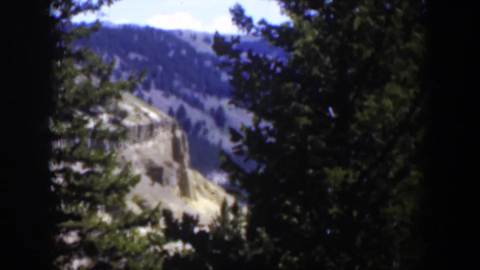 Wyoming mountain scenery in 1951 home-movie footage, with a pale cliff face partly obscured by evergreen branches.