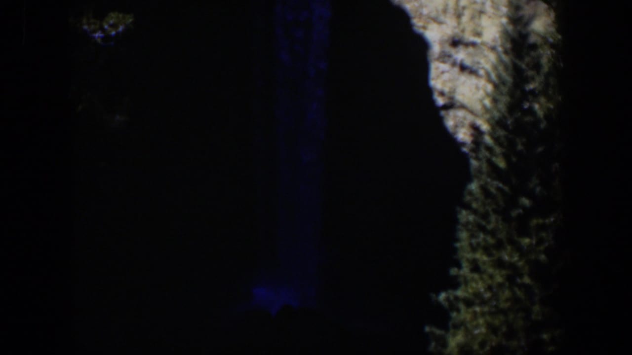 Dark outdoor frame with a tree trunk, black shadow, and a faint blue vertical light.