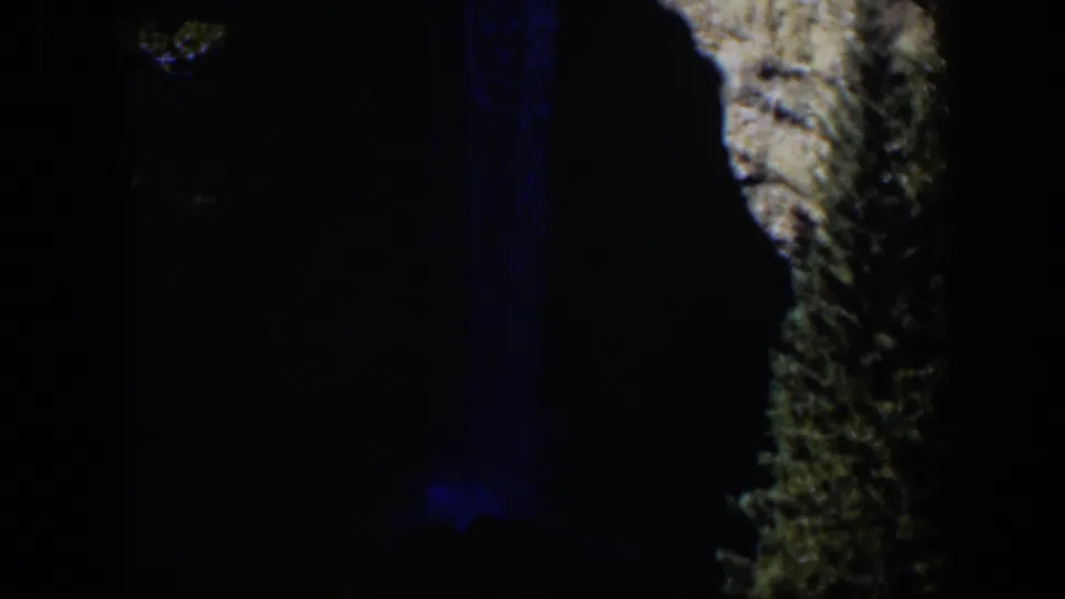 1951 Wyoming 8mm frame showing a tall tree trunk beside deep shadow and a dim blue vertical light band.