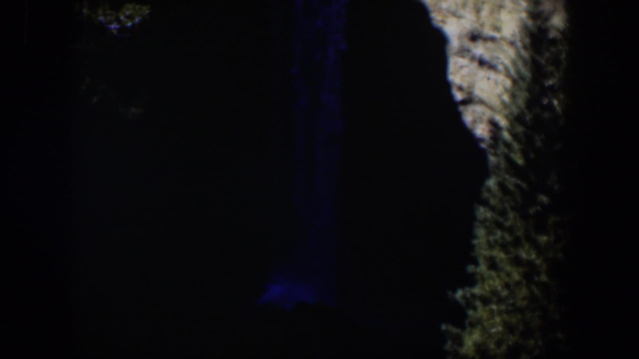 1951 Wyoming 8mm frame with rough tree bark at right, deep black shadow, and a dim blue light mark.