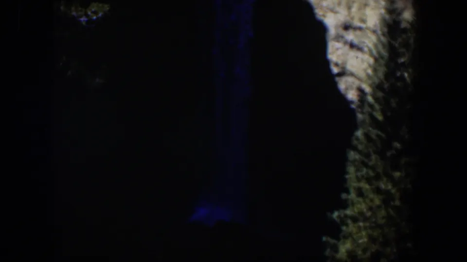 1951 Wyoming 8mm frame with rough tree bark at right, deep black shadow, and a dim blue light mark.