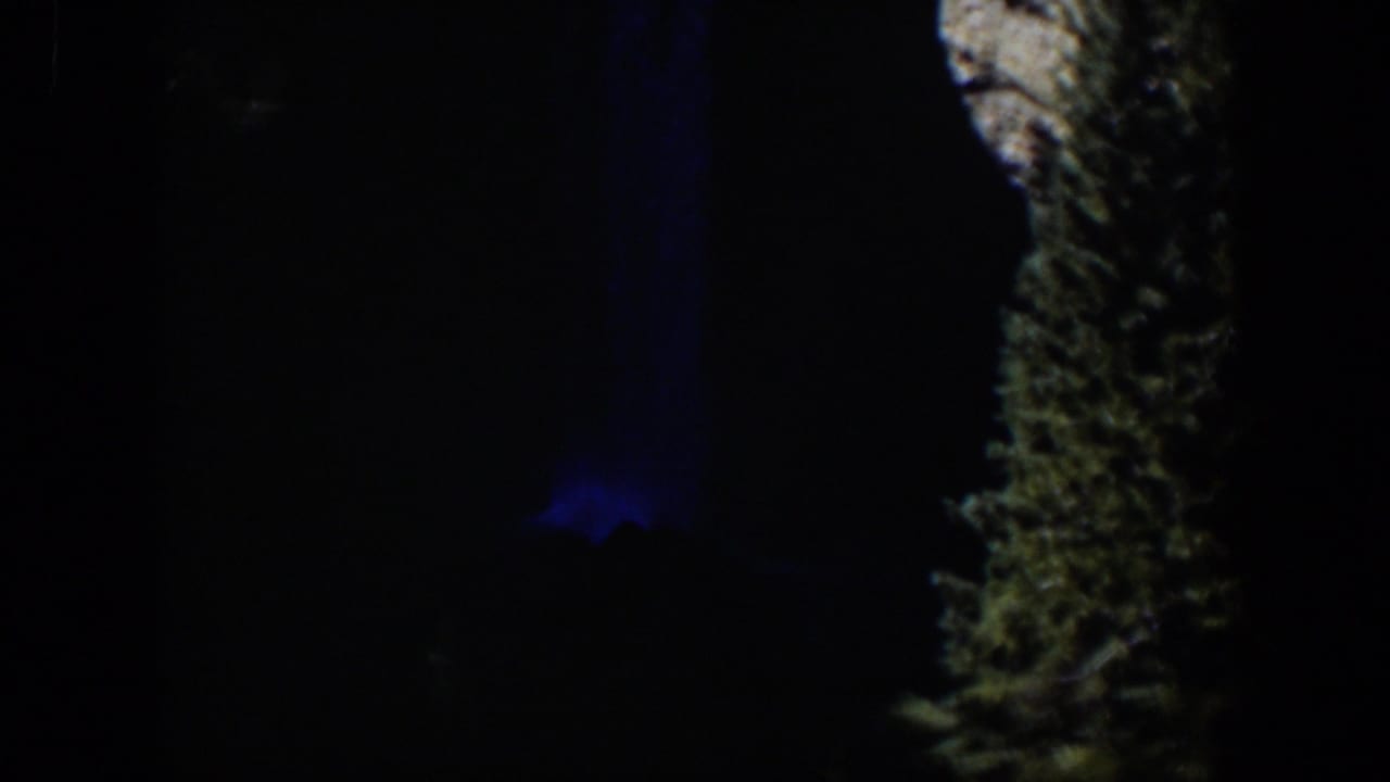 1951 Wyoming 8mm frame showing the tree trunk and a muted blue vertical beam within heavy darkness.