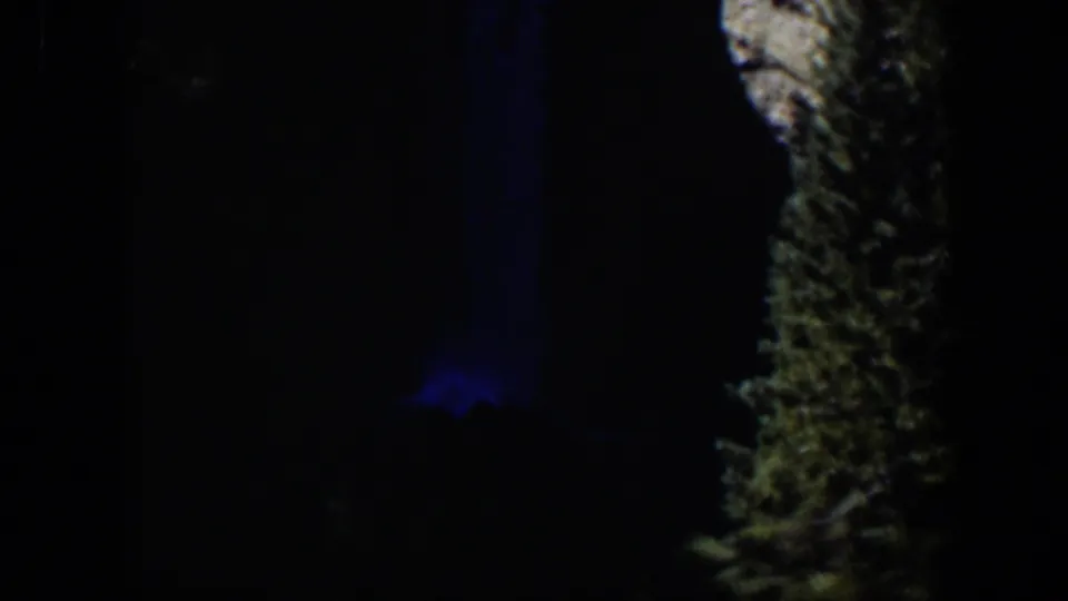 1951 Wyoming 8mm frame showing the tree trunk and a muted blue vertical beam within heavy darkness.