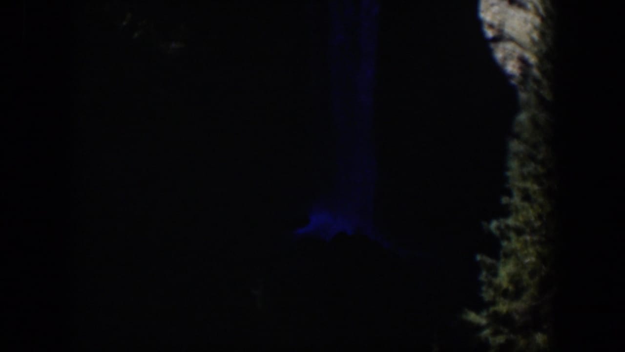 1951 Wyoming 8mm frame with bark highlights, deep shadow, and a subdued blue light shape near the tree.
